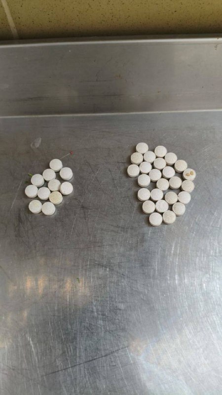 💊 Посетитель Московского зоопарка кинул отраву в вольеры с рысями и леопардом
38 таблеток неизвест