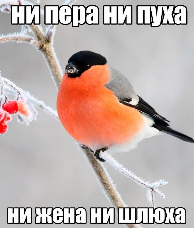 как ощущается этот период, когда вы с ним уже очевидно не просто друзья, но еще и не пара, и ты прос
