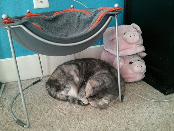 Любите покупать новые, красивые и комфортные вещи для ?...