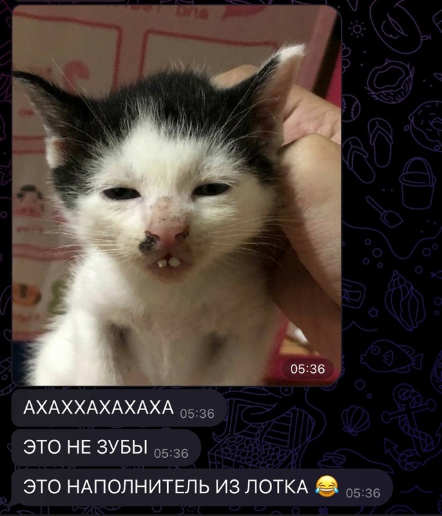 Реально на зубки похоже