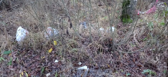 Добрый день всем!
Ну неужели не стыдно бросать мусор к ...