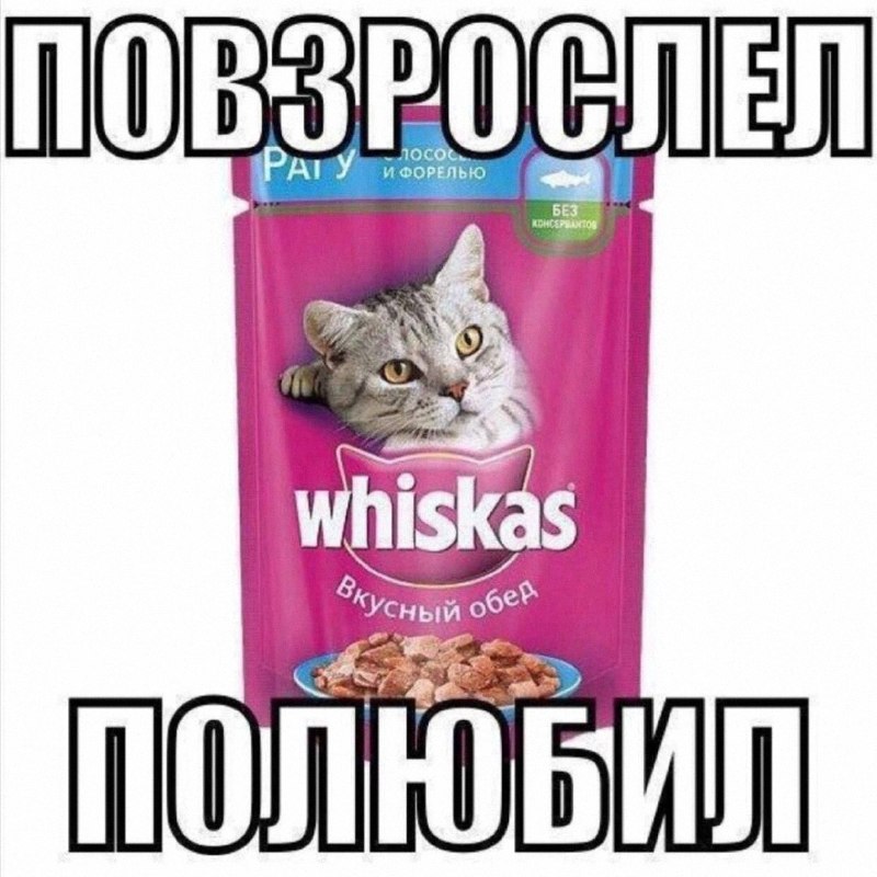 Утренняя подборочка
