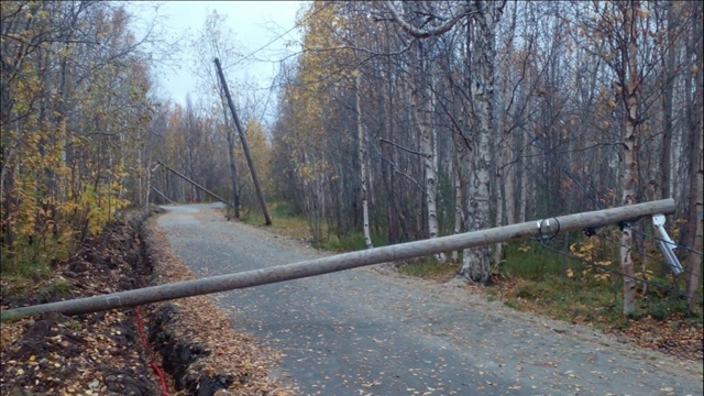 В мончегорском парке случился «столбопад»
В парке со ?...