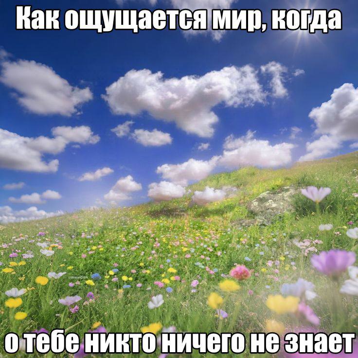 Утренняя подборочка