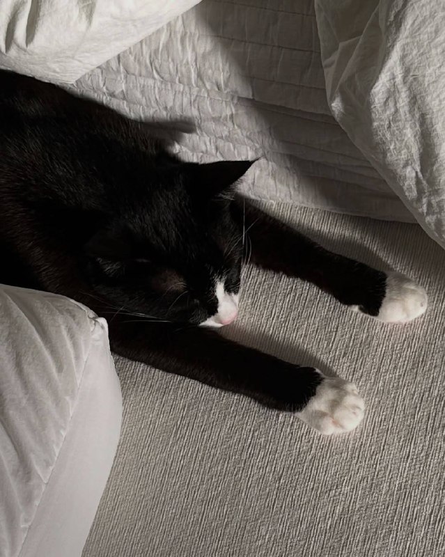 Спотб без сил