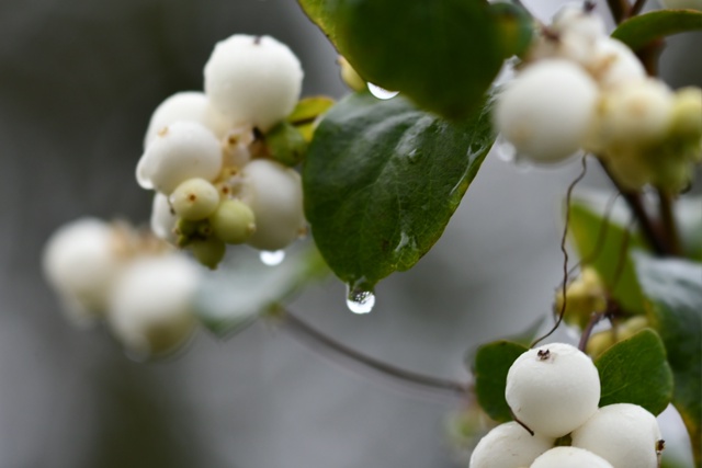 Сказочное фото!
Фото: [id451441227|Олег Сотников ]