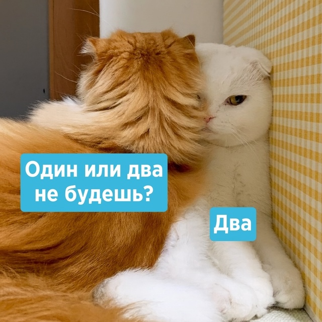 Кое-что на женском