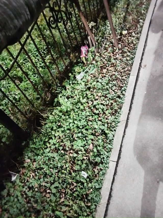 Тула в последнее время стала намного чище, но это не ка?...