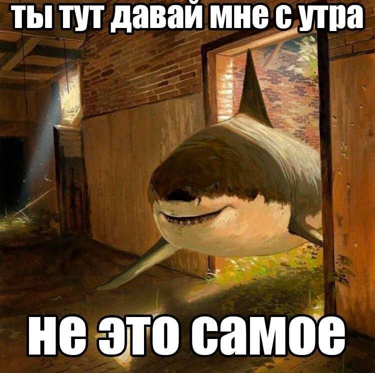 Утренняя подборочка