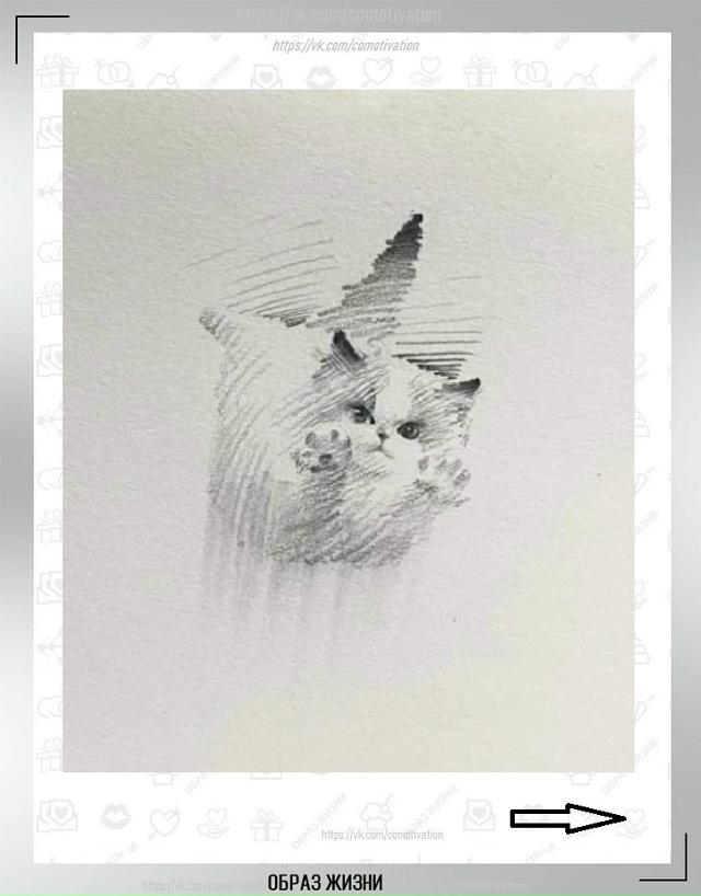 Вот такая милота. Ну куда же без кота.