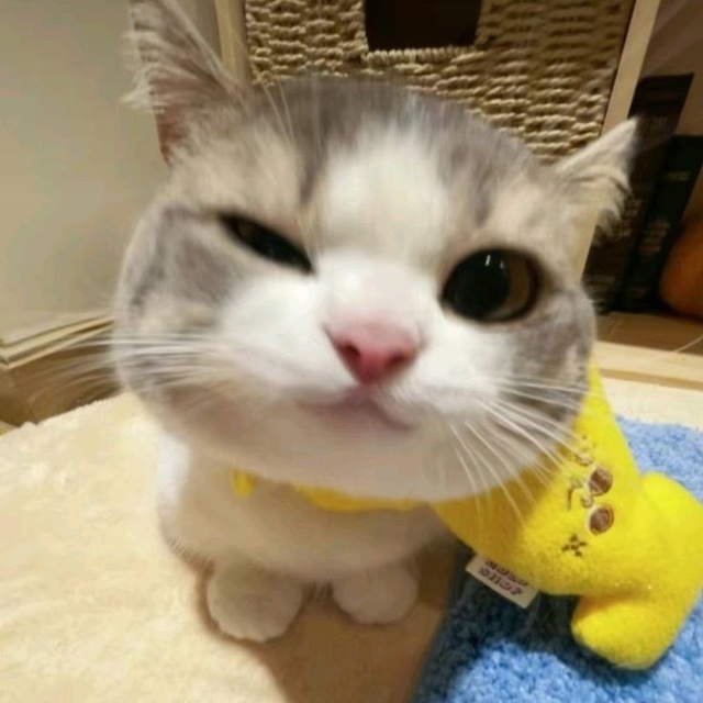 Для хорошего настроения 😉