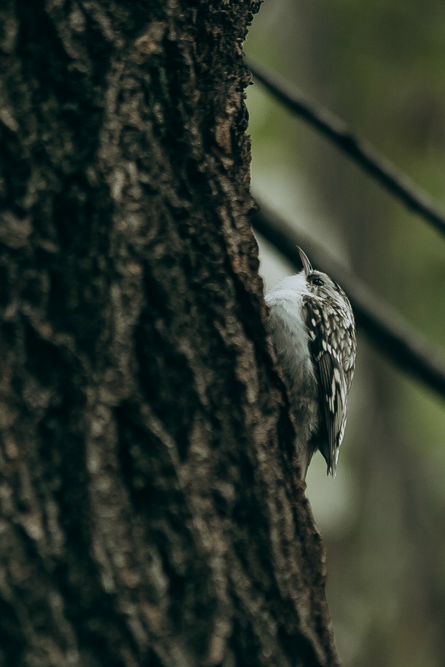 Осенний Воронеж🥰