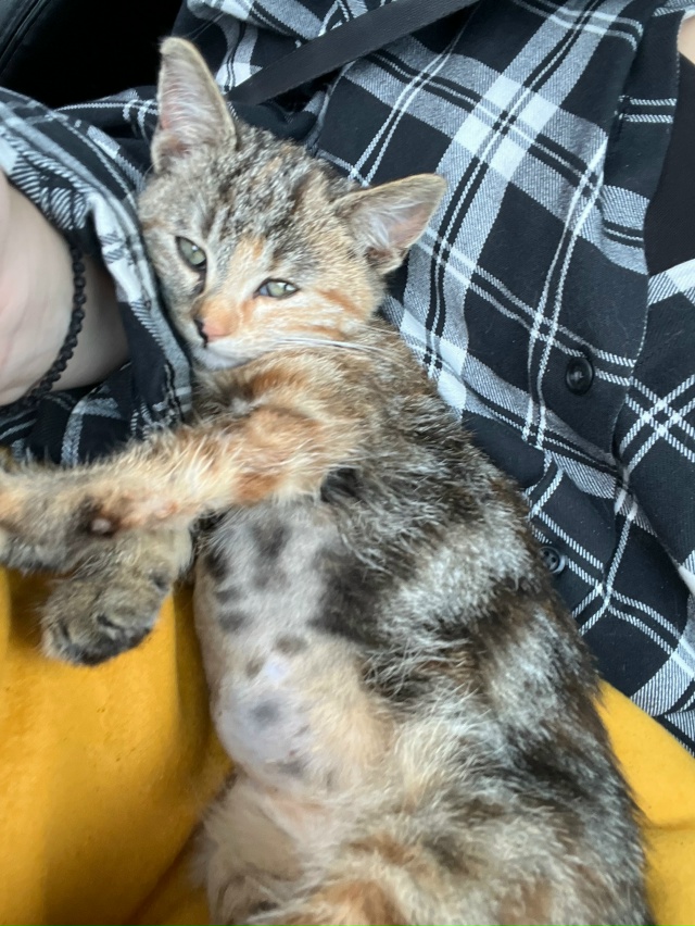 Всем добрый день 🆘🆘🆘
Нужен донор 🩸 вопрос жизни и ?...