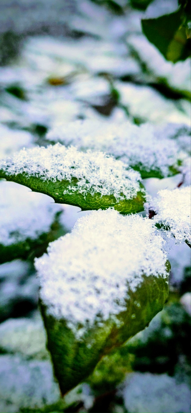 Всех с первым снегом ⛄️
Фото от подписчицы