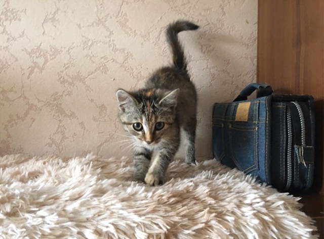 Админ, опубликуйте пожалуйста! Вот такая красота очень...