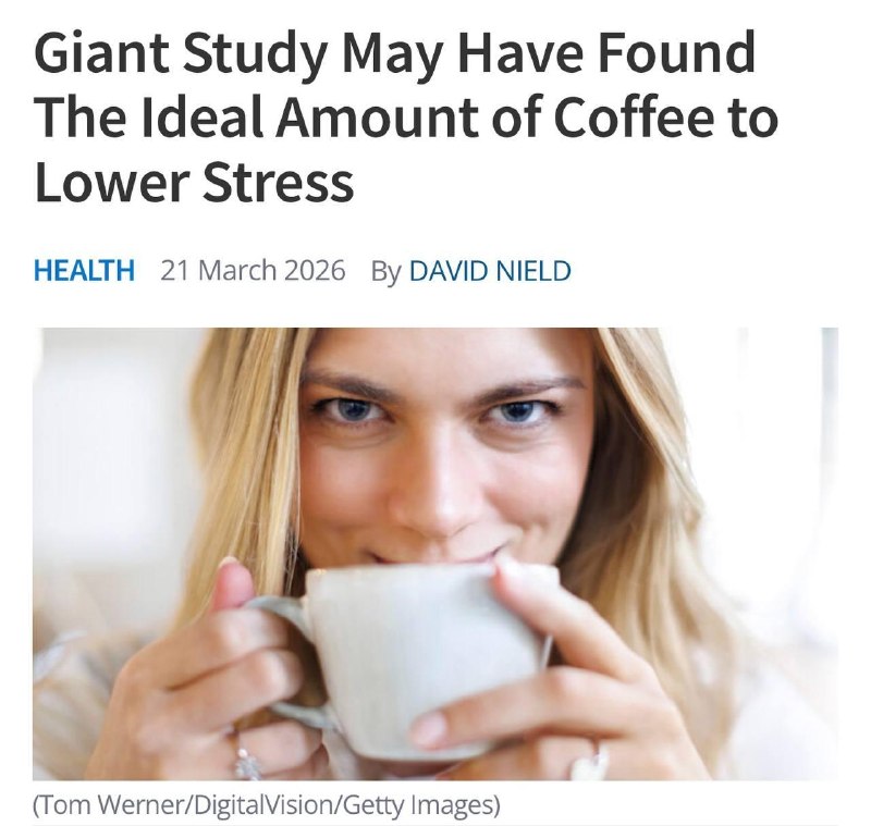 Кофе официально признали легальным антидепрессантом.
Учёные подтвердили, что 2–3 чашки бодрости в