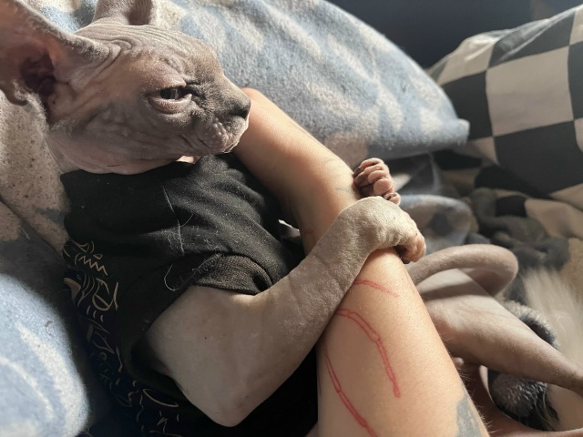 Всратая Афина