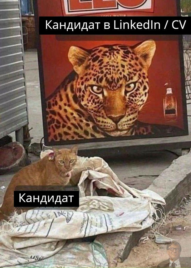 #программисты #айти