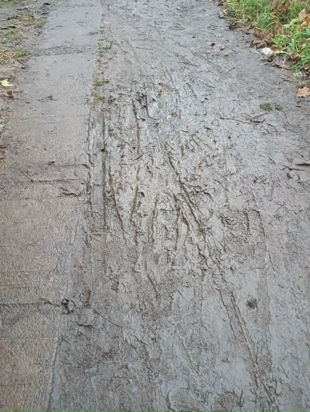 Слуги народа, ни у кого дети или внуки не посещают детс?...