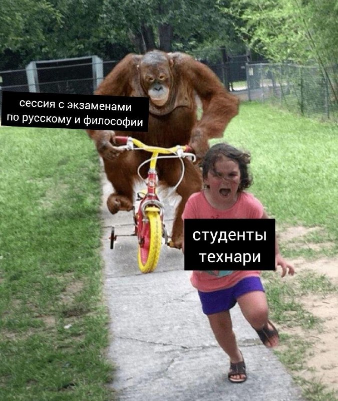Студентам всех вузов добавят четыре общих обязательных предмета.
Историю, философию, основы российс