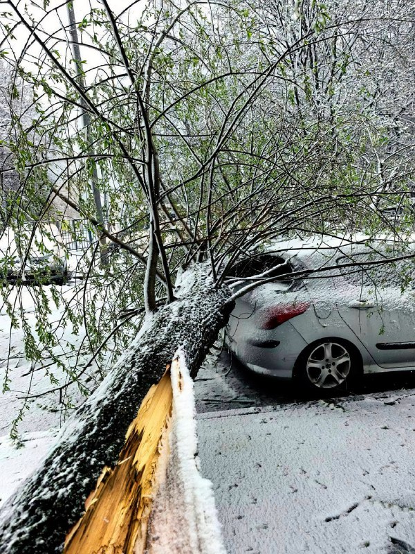 ❗️Москву и область конкретно завалило снегом прямо перед майскими праздниками — в регионе ввели «ора