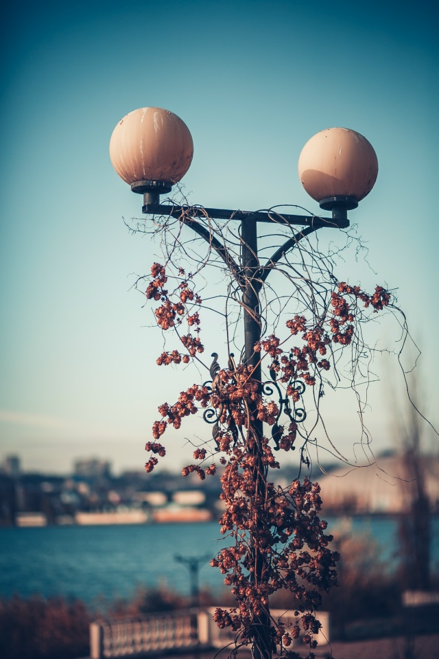 Осенний Воронеж, смотровая площадка на Спортивной Наб?...