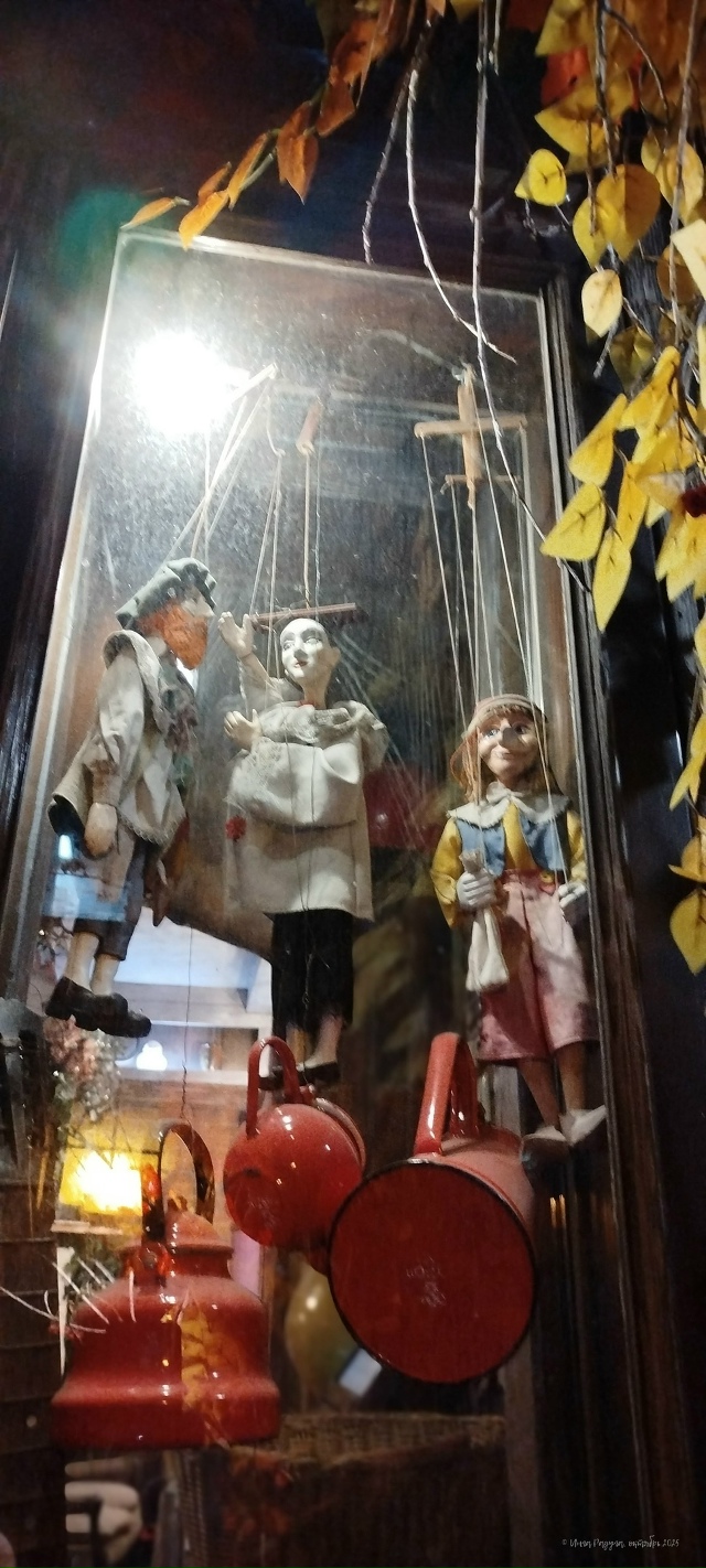 Дoбpoй нoчи, гopoд N!
Φoтo: Ингa Рaдугa