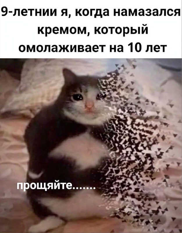 Учёные изобрели крем, который реально убирает морщины.
Китайские косметологи из Guangzhou Luanying