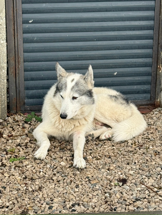 Может кто-то потерял? Или знает, где он живет? Уже трети?...