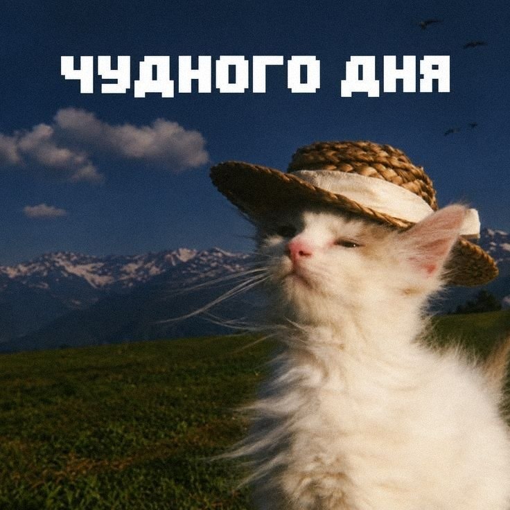 Утренняя подборочка