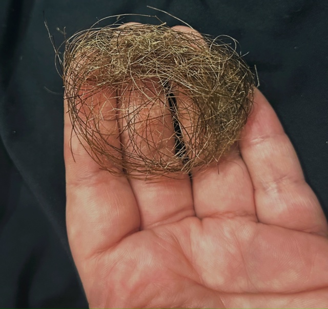 Передам за шоколадку школьному музею города (не района...