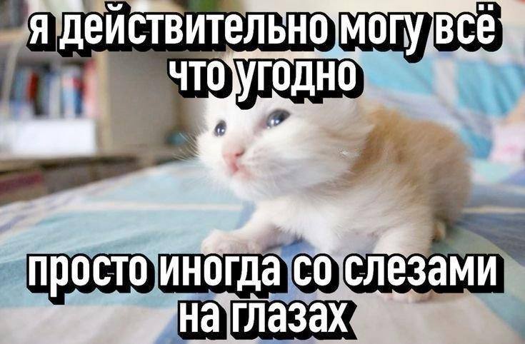 Утренняя подборочка