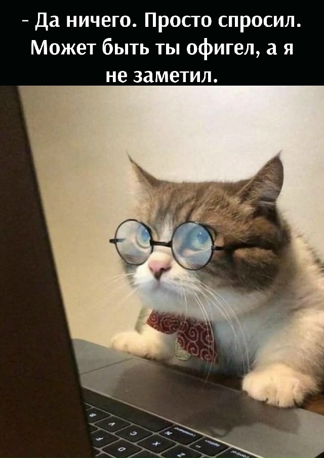 На всякий случай спросил)