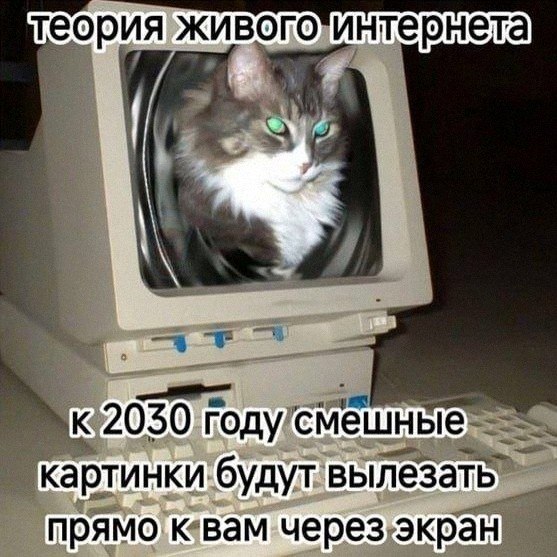 Утренняя подборочка