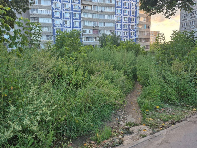 ⚡ Скосите траву
Пожалуйста, на Кирова со спуска, пройт...
