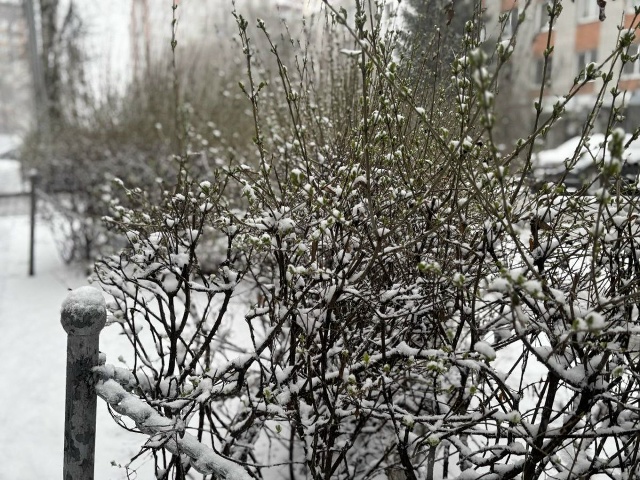 ‼️ Брянск ждет непогода в начале недели
Понедельник ?...