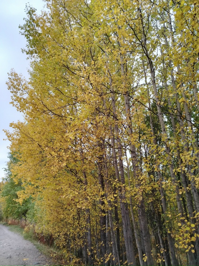 Доброго утра, Никольск❤