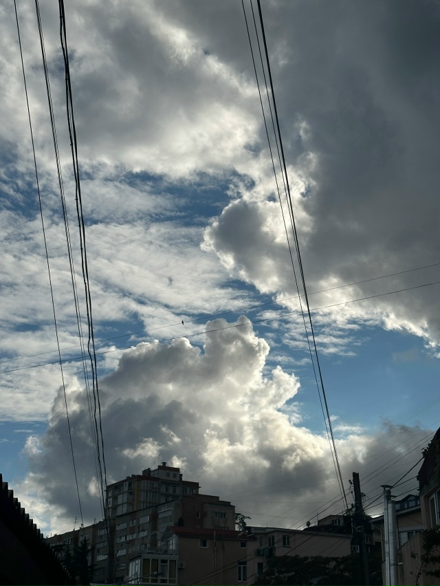 Ялта прекрасна!
Даже котики в облаках☁️😻