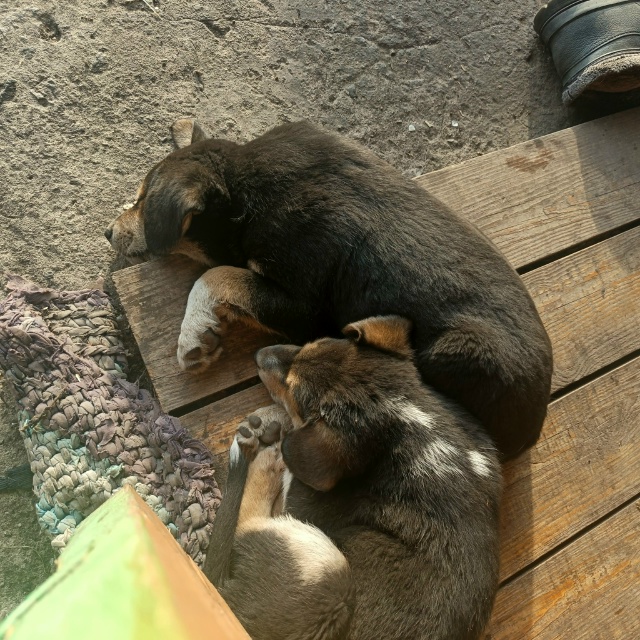 Отдам с удовольствием