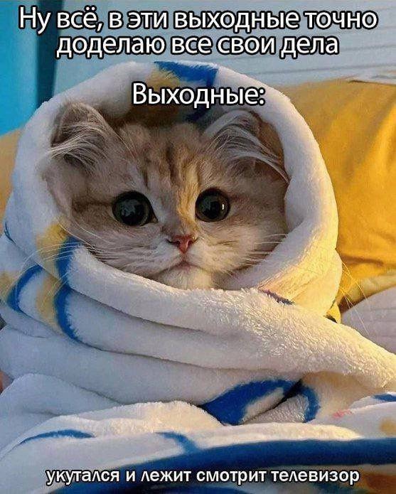 Все мы на выходных