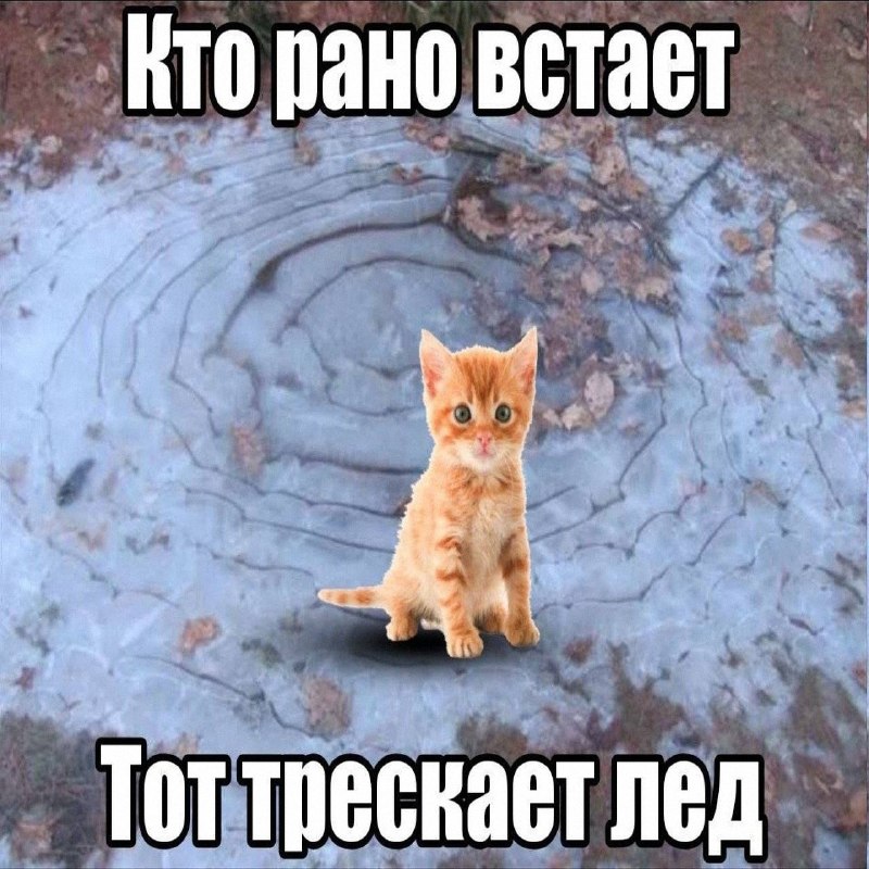 Утренняя подборочка