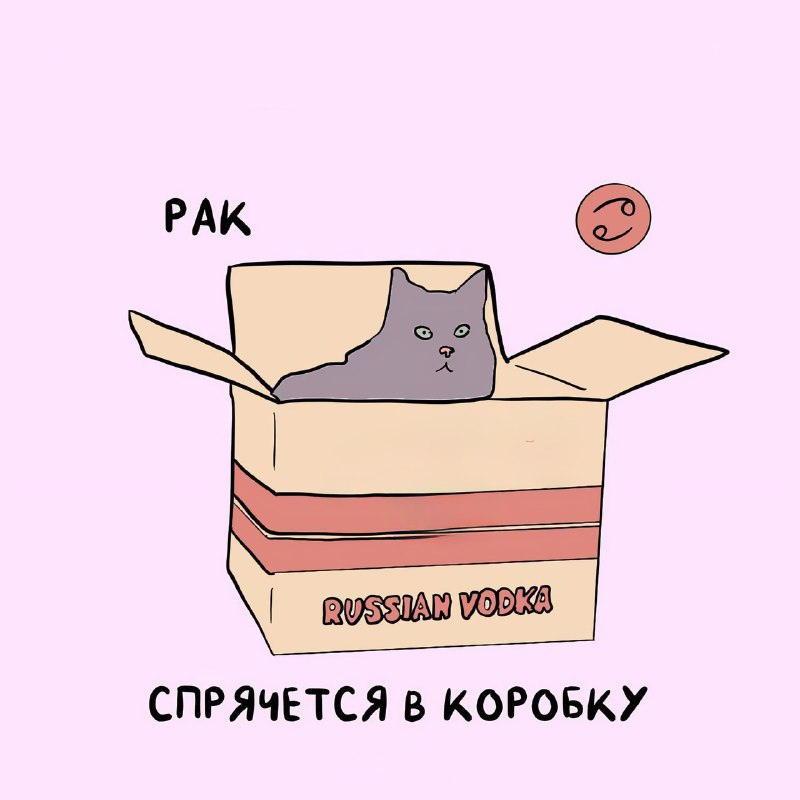 Коты-астрологи представили самые точные предсказания на 2026 год
Ищем себя, скидываем друзьяшкам