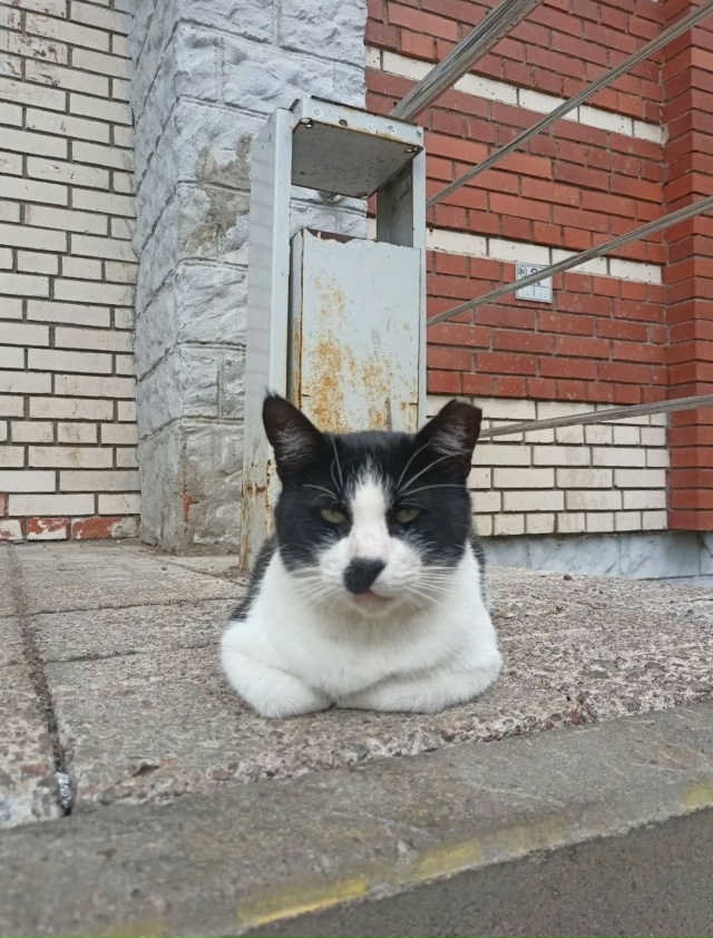 Молодцы, те, кто о нём заботятся!