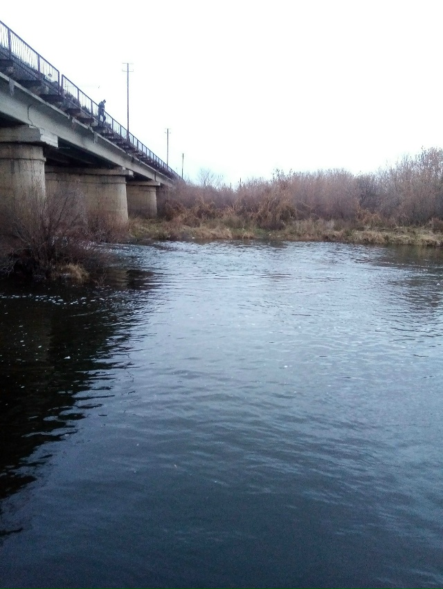 Немного позитива в ленту.На снимках,октябрь 2025 года,на ...