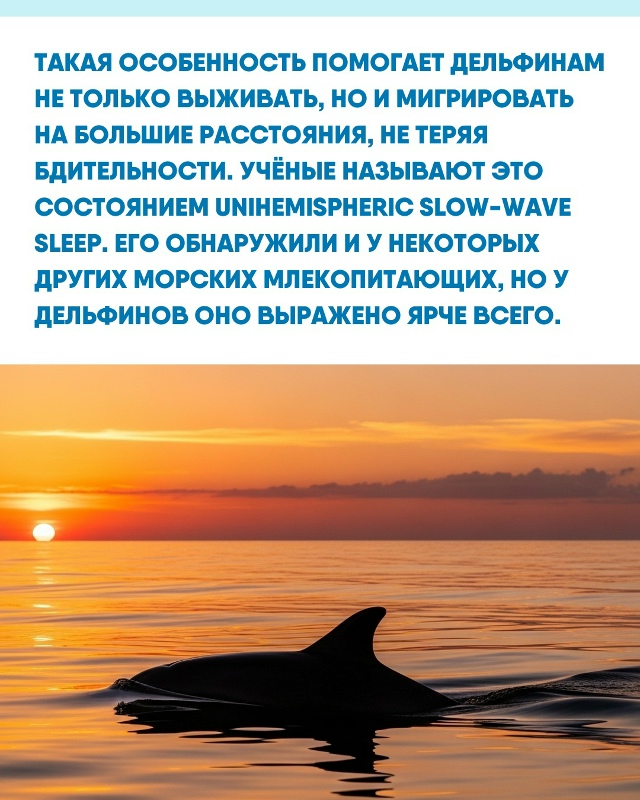 Мир под водой устроен не так, как привычная нам суша. Чт...