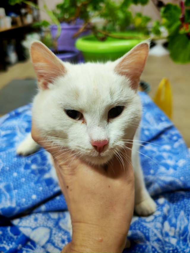 Админ, опубликуйте пожалуйста пост 🙏
Доброго времени ...