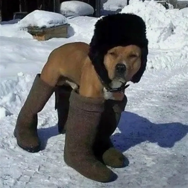 🥶 Готовим тёплые носки! Предстоящая зима в Башкирии о?...