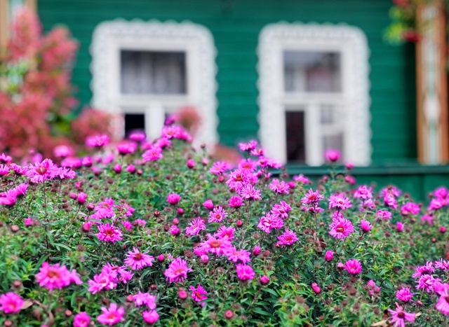 Золотые мгновения осени 🍁🍁🍁