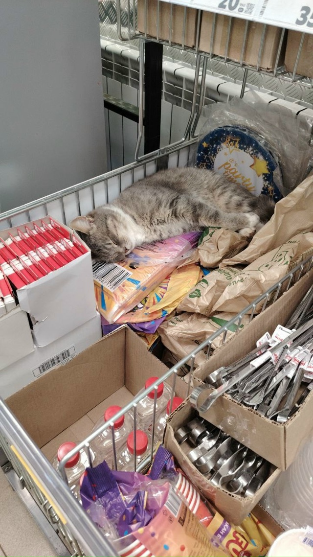 Город Белебей