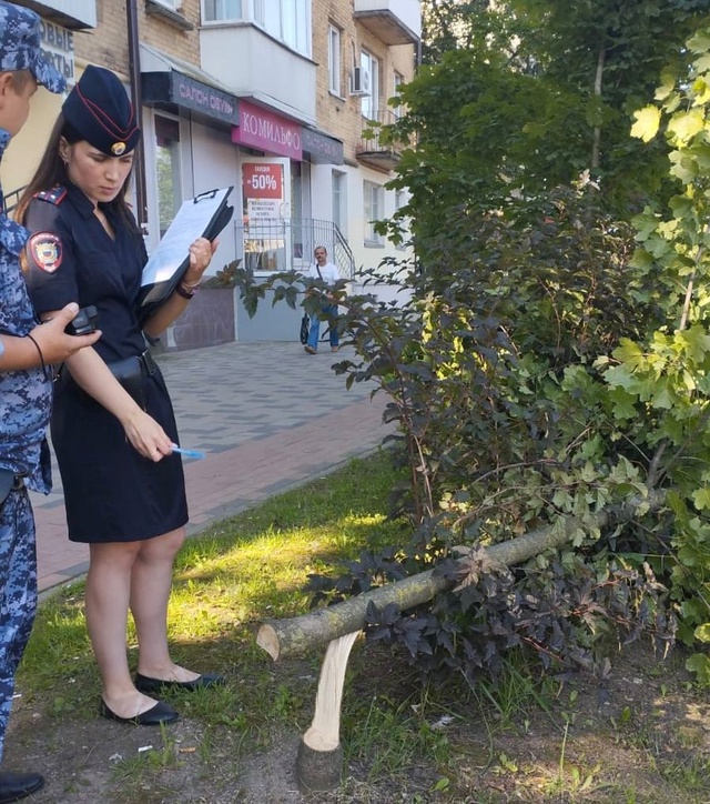 👉В Смоленске зафиксирован новый вид вандализма
🌳Г?...